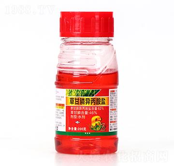 62%�ݸ�좮������}-���_(d��)-ϲ�S��