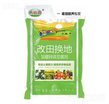 �����\�V�;���-����Q��-��������