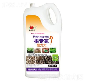 ������-������-�h(yu��n)�|����