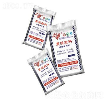 ���݌����͏ͻ��-���ֻ���