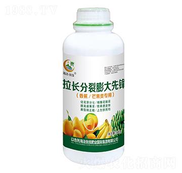 香蕉芒果類(lèi)專(zhuān)用拉長(zhǎng)分裂膨大先鋒-海法優(yōu)佳