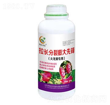 火龍果專用拉長分裂膨大先鋒-海法優(yōu)佳