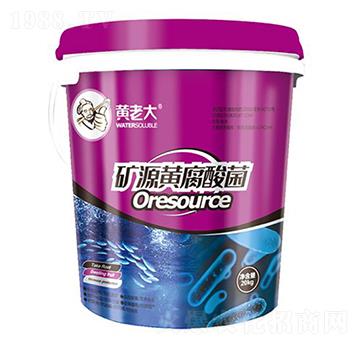 �VԴ�S�����-�S�ϴ�-