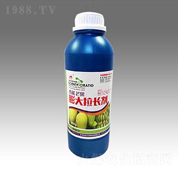 �㽶â��������L(zh��ng)��-��̫�(y��ng)�ʘI(y��)