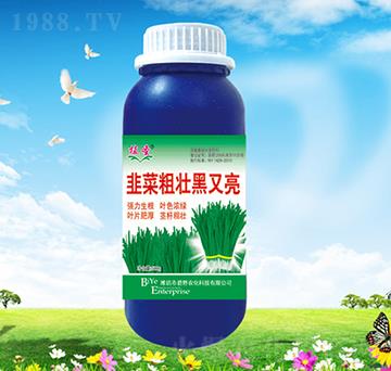 �²˴։Ѻ�����-ֲʥ-