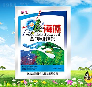 ���������\�}-ֲʥ-