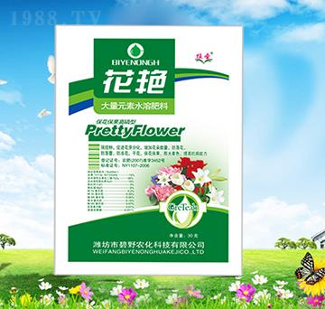 �������������ʹ���Ԫ��