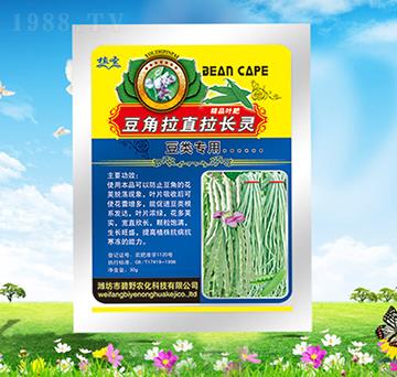 ������ֱ���L(zh��ng)�`-ֲʥ-