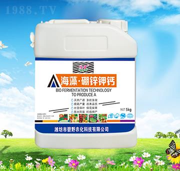 ���塤���\��}-ֲʥ-