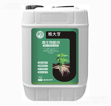 ΢�������-�����-�η�