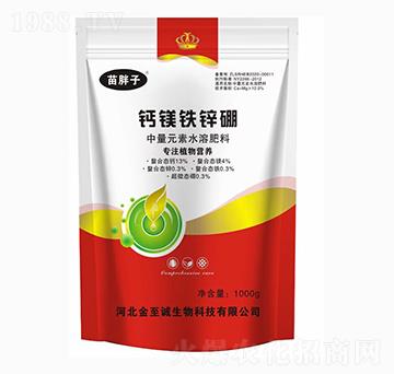 �}�V�F�\��-������-�����\(ch��ng)