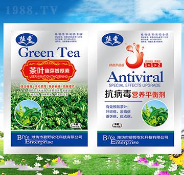 ���~��ѿ������+�������I(y��ng)�B(y��ng)ƽ�℩-ֲʥ-��Ұ�r(n��ng)��