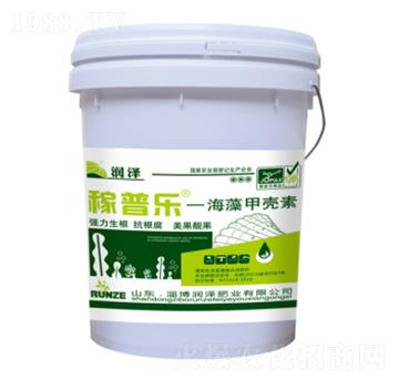 ����ך���-���՘�-���ɷʘI(y��)