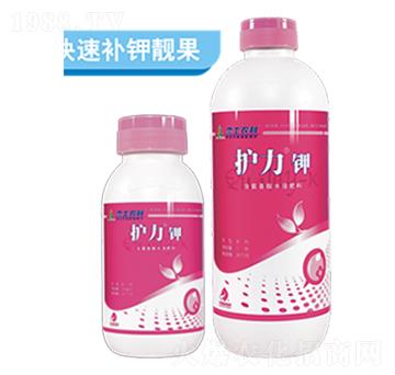 �o���-��ʿ�r�I(y��)