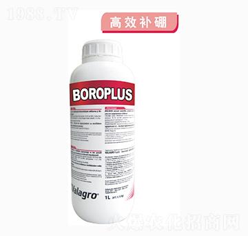 ����Һ�w��-����(l��)��-��ʿ�r(n��ng)�I(y��)