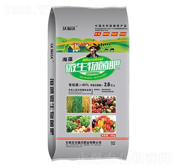 ����΢�������-�ָ���