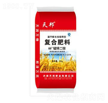 66���i�\���@-���-