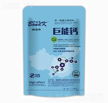 �����}-����ʩ