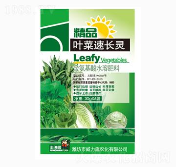 �~�����L�`-����ʩ