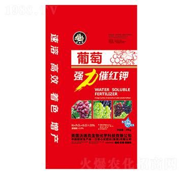 ���я�(qi��ng)���߼t�-�Č�(sh��)��