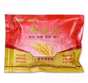 С�������ײͣ����x�棩-�ژ���-(li��n)���r(n��ng)�I(y��)