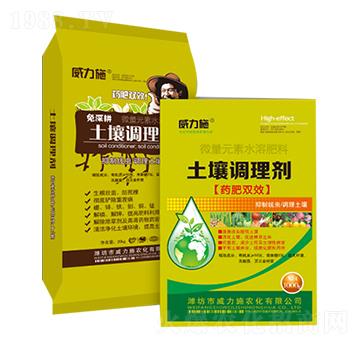 �����{�턩-����ʩ