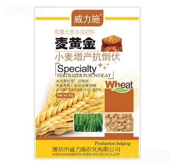 ���S��-����ʩ