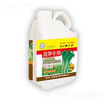 �n�S����-����ʩ