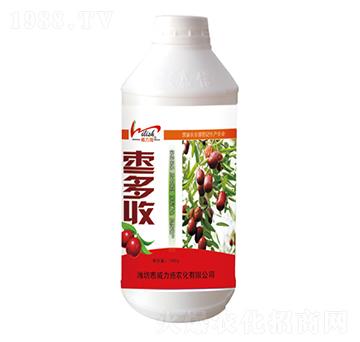 1000g���S��-����