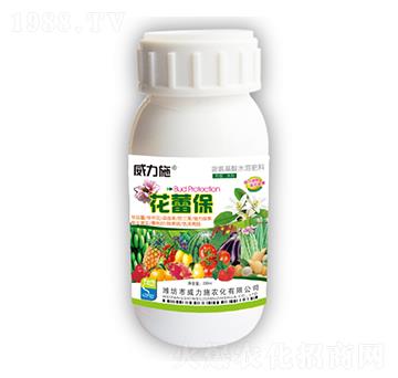 ���ٱ�-����ʩ