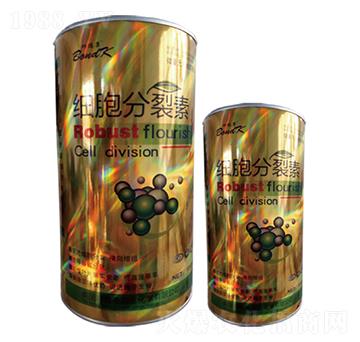 ���������ع��b-����ʩ