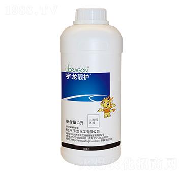 ���ס�������-�����n�o-��������