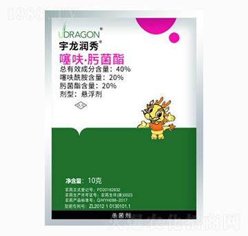 10g��߻��뿾���-��������-��������