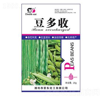 ������-���|����