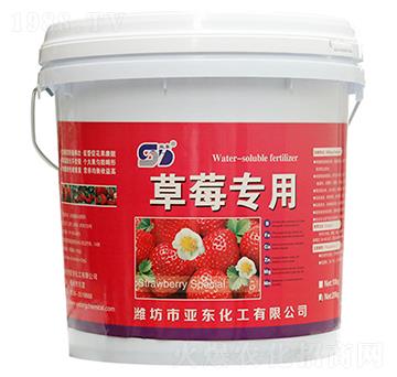 ��ݮ��(zhu��n)��-��?w��n)|����