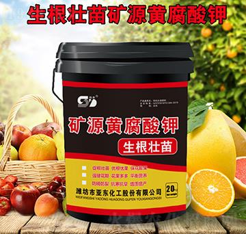 �VԴ�S����⛣��������磩-��?w��n)|����