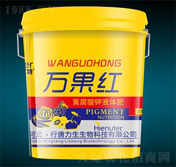 �S�����Һ�w��-�f(w��n)���t-��������