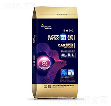 ��(f��)��΢�������-�ۺ˾�̼-��������