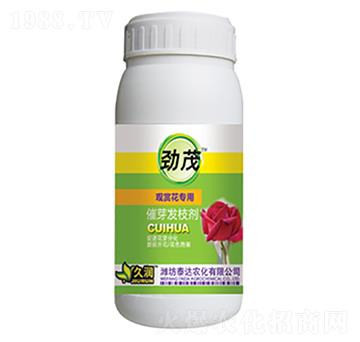 �^�p����(zhu��n)��-��ѿ�l(f��)֦��