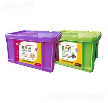 �Ƕ�қ_ʩ��-�������r(n��ng)-���ʼ��F