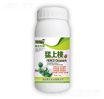 ������-̩�_(d��)�r(n��ng)��