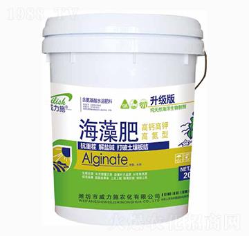 �����溣���Ͱ�b-����