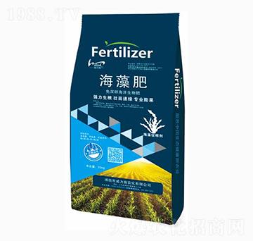 �����20kg-����ʩ