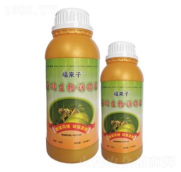 ��ω�����T����-������-���~����