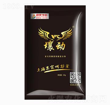 ����FT(���w)-�ļ����B(t��i)