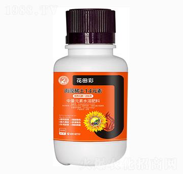 ����ϡ��14Ԫ��-�����-�η�