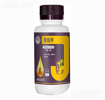 �Ǵ��-�η�