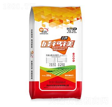 ����Ԫ��ˮ�ܷ���-���}�V-����(r��n)�r(n��ng)�I(y��)