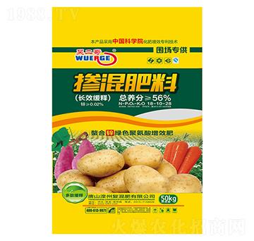 �LЧ��ጓ������18-