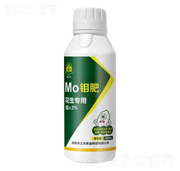 ���������f��-�S�՘�